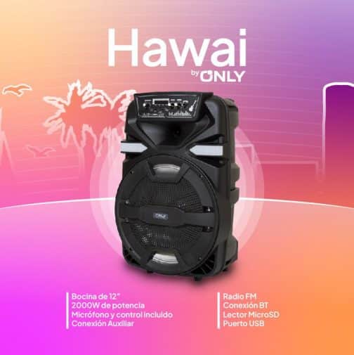 PARLANTE 12'' - MOD FS-1204 - ONLY HAWAI - Imagen 4